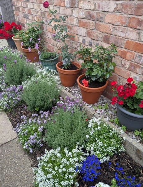 Manchester In Bloom: How Communities Are Growing Greener, Cleaner Neighbourhoods Together