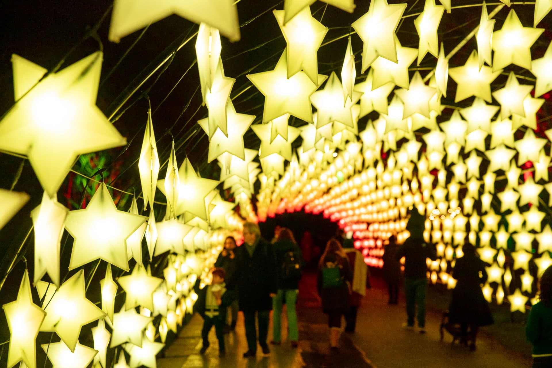 Explore the Magic: Dunham Massey’s Christmas Light Trail for 2024