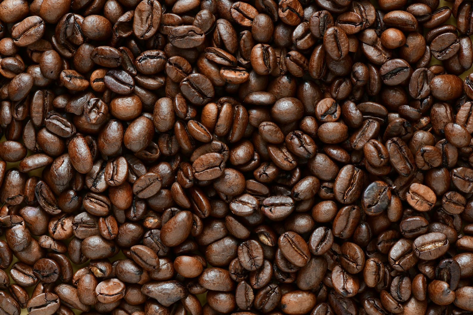 The Real Reason Manchester Businesses Are Going Bean-to-Cup (Hint: It’s Not Just the Taste)