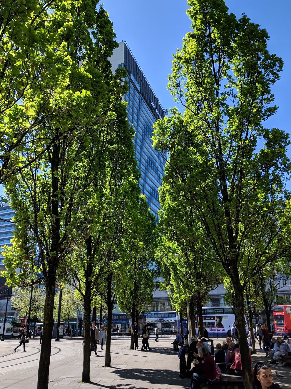 Manchester Secures £560,000 to Expand Tree Planting and Green Spaces