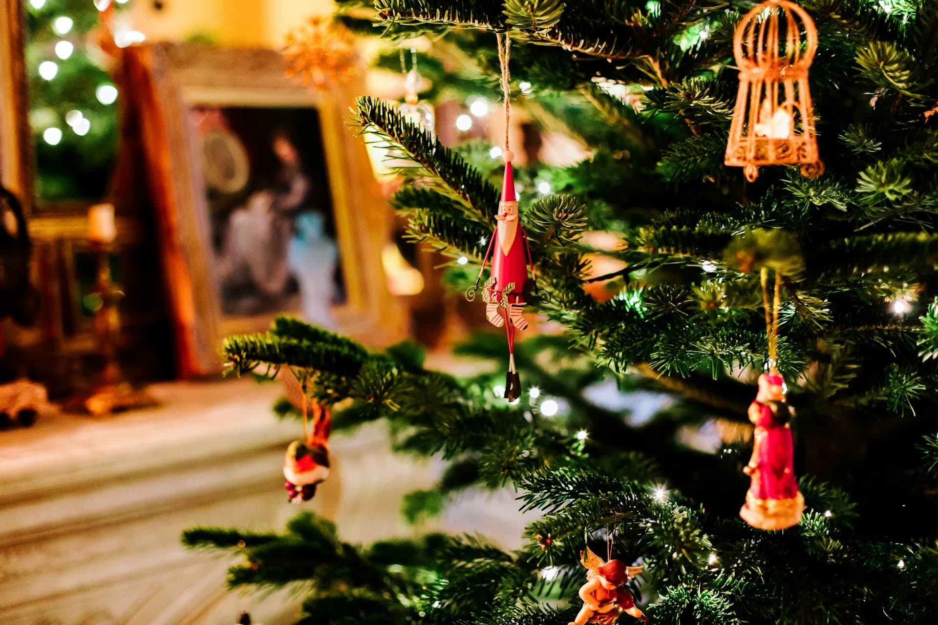 Recycle Your Christmas Tree: Manchester’s Sustainable Solutions for the New Year