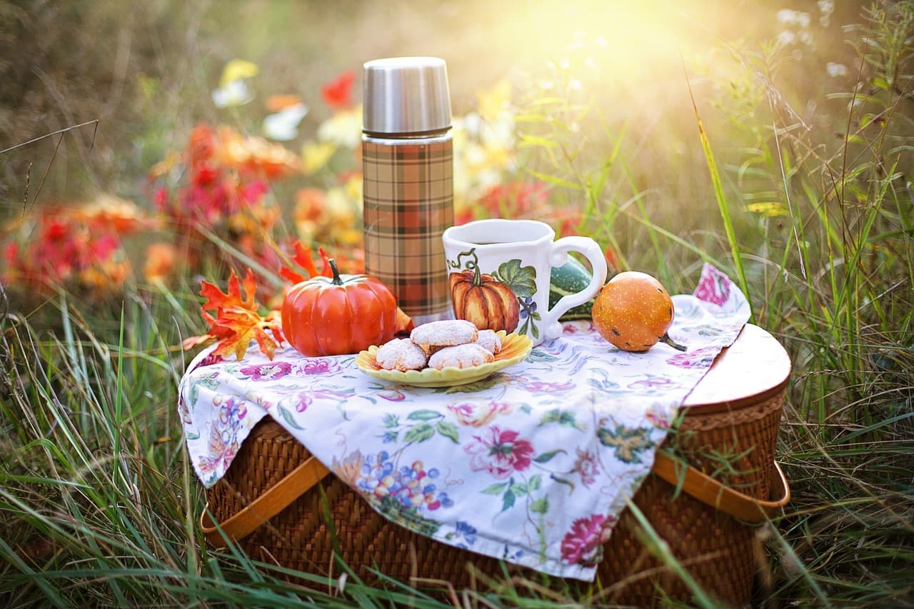 Embracing Togetherness and Nature: Celebrating International Picnic Day (18th June 2023)
