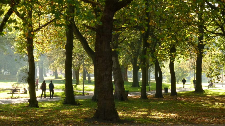 The Whitworth Park