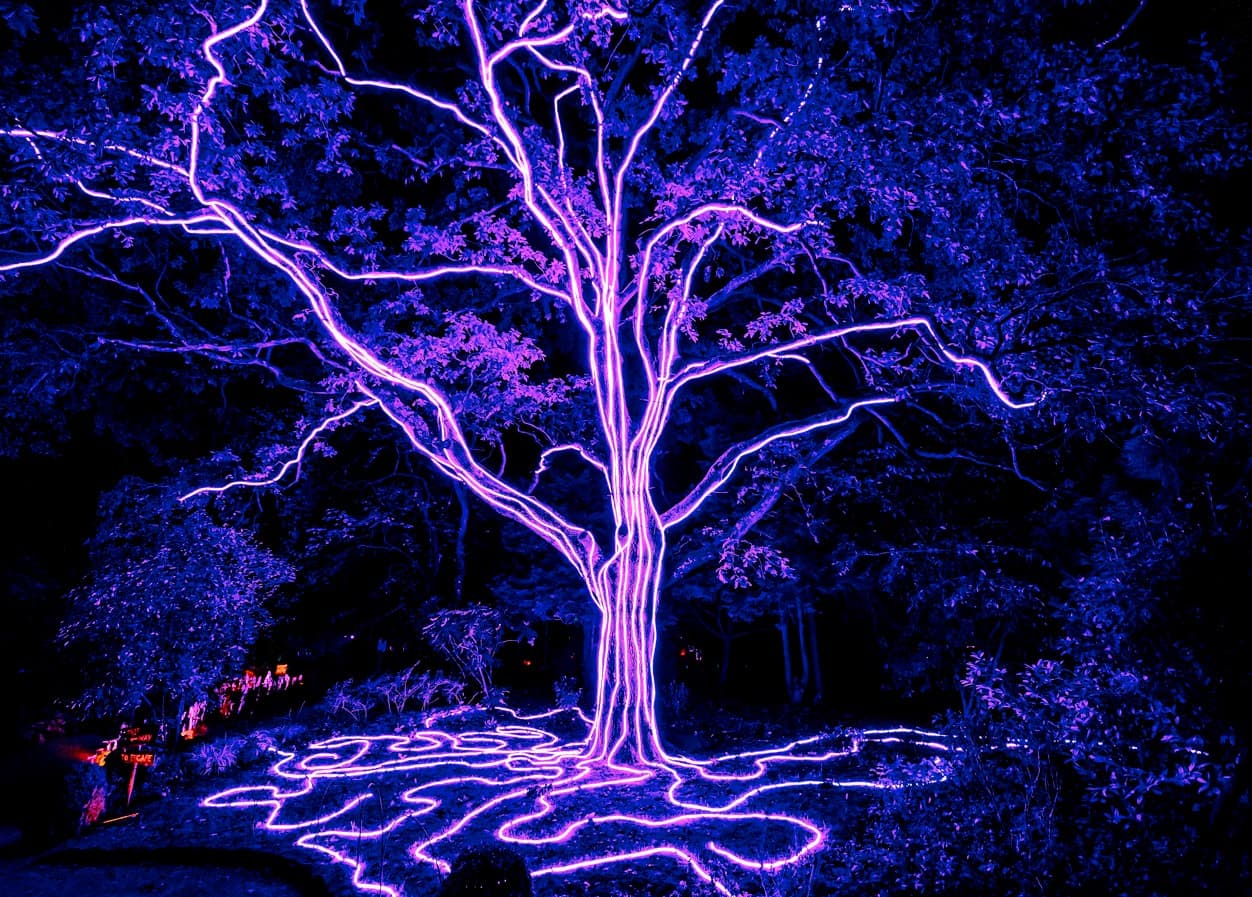 Experience Spooky Surprises on Quarry Bank’s New Halloween Trail