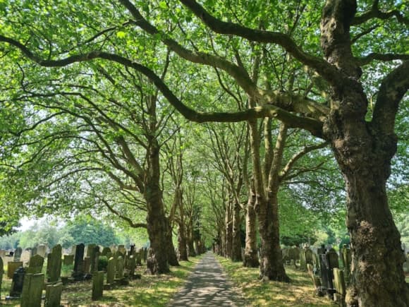 Seven Manchester Green Spaces Celebrate Retaining Prestigious Green Flag Status